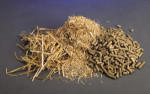 Paille granules