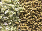 Houblon granules   Houblon pellets