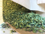 Granules de houblon