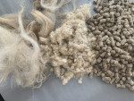 Laine de mouton pellets