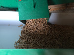 Granules de bois